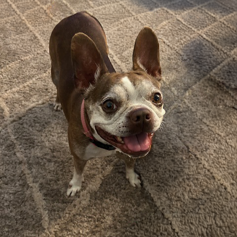 Watson